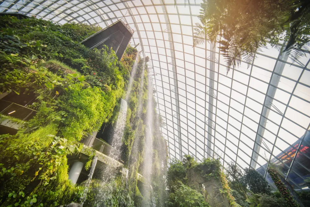 Cloud Forest Gardens by the Bay