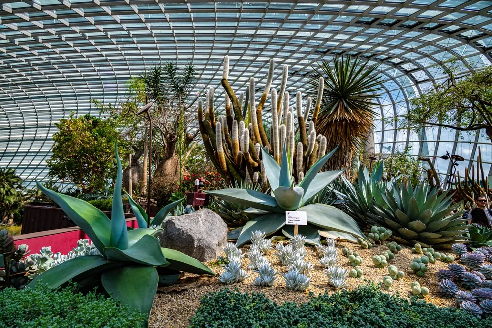 Flower Dome Gardens by the Bay