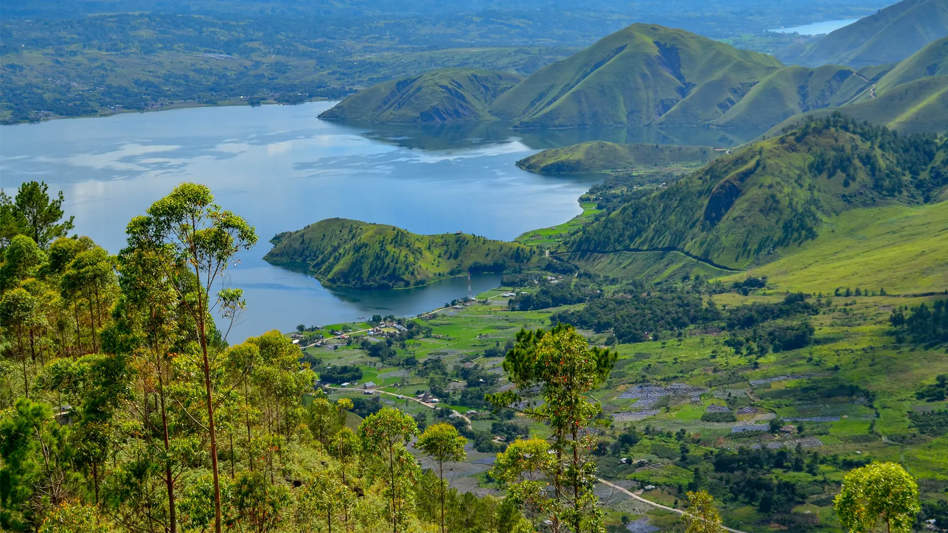 Medan
