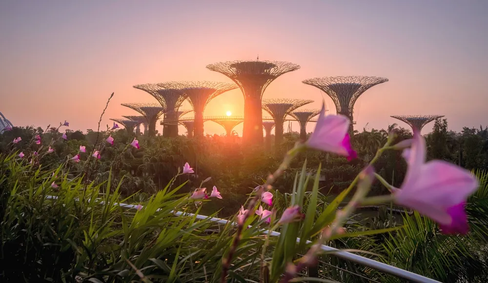  Panduan mengunjungi Gardens by the Bay