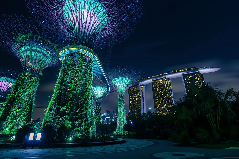 Supertree Grove Gardens by the Bay